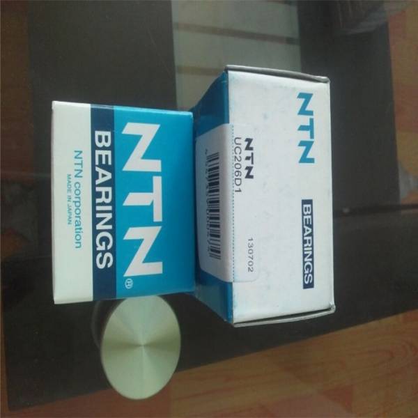 NTN  NUP217